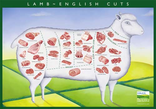 Lamb Butchers Chart